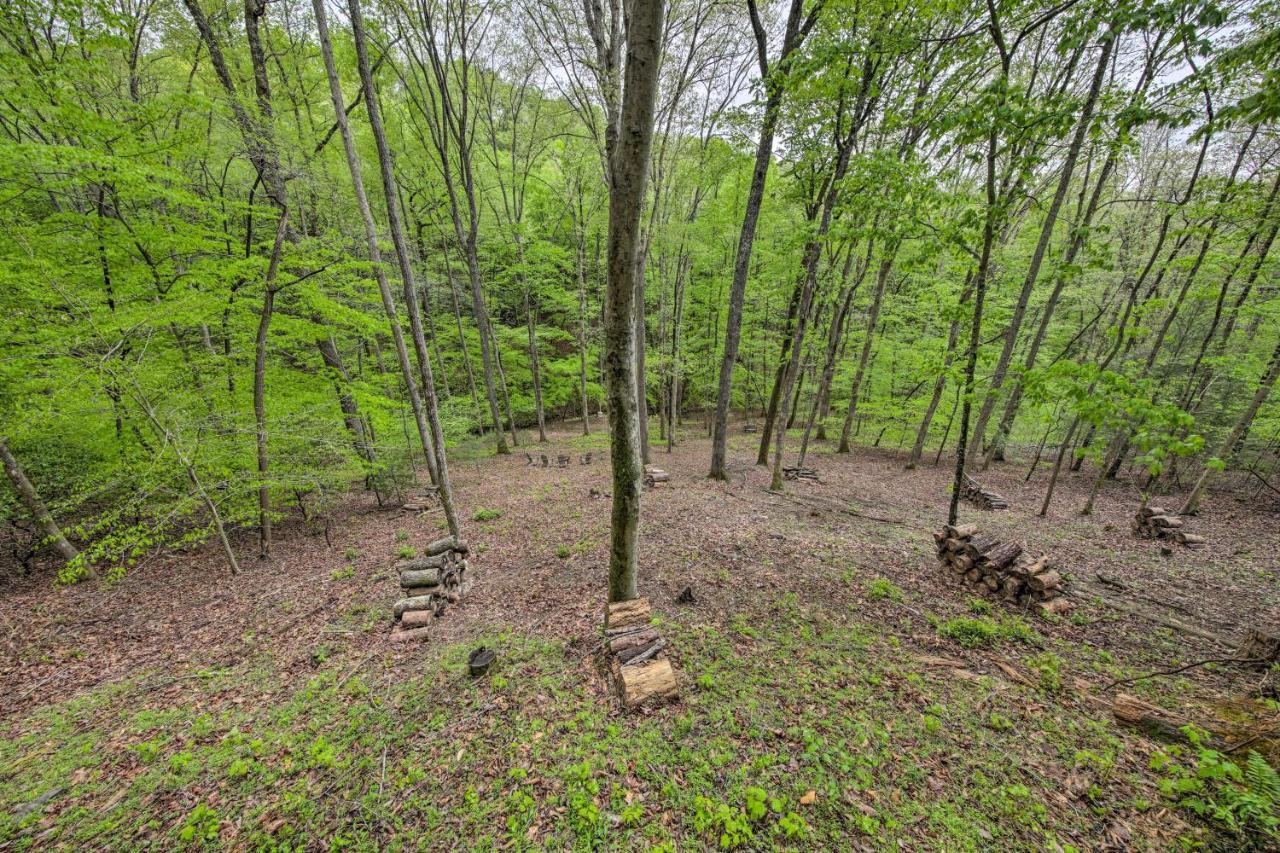 Peaceful Blue Ridge Cabin With Decks And Fire Pit Eksteriør billede